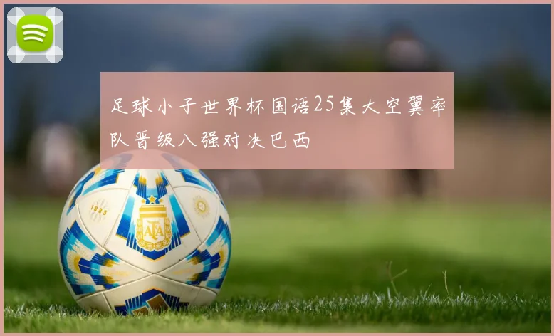 足球小子世界杯国语25集大空翼率队晋级八强对决巴西