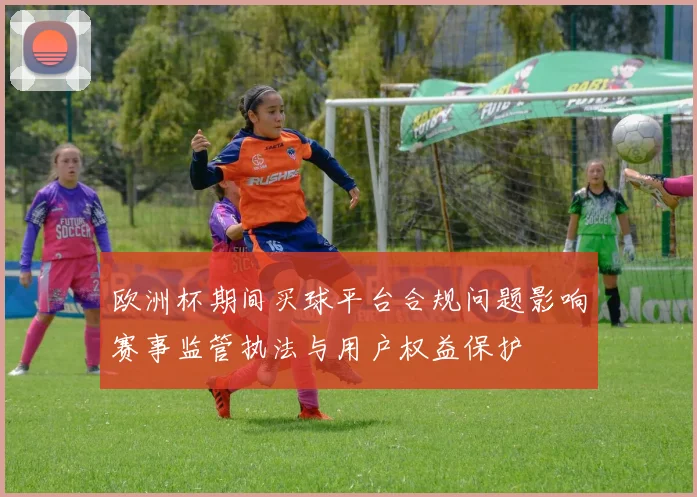 欧洲杯期间买球平台合规问题影响赛事监管执法与用户权益保护