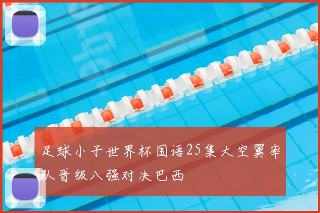 足球小子世界杯国语25集大空翼率队晋级八强对决巴西