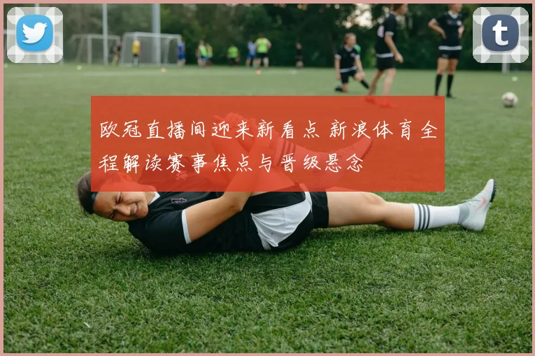 欧冠直播间迎来新看点 新浪体育全程解读赛事焦点与晋级悬念