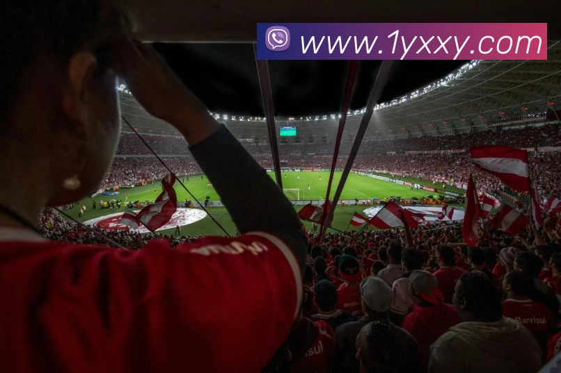 多媒体互动体验